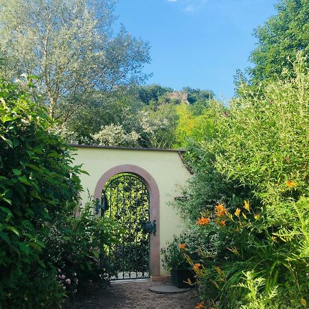 Lo'Gîte L'Allée du Val Lalaye Esterno foto