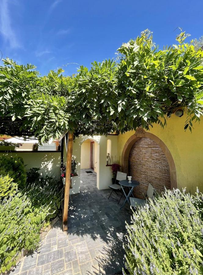 Lo'Gîte L'Allée du Val Lalaye Esterno foto