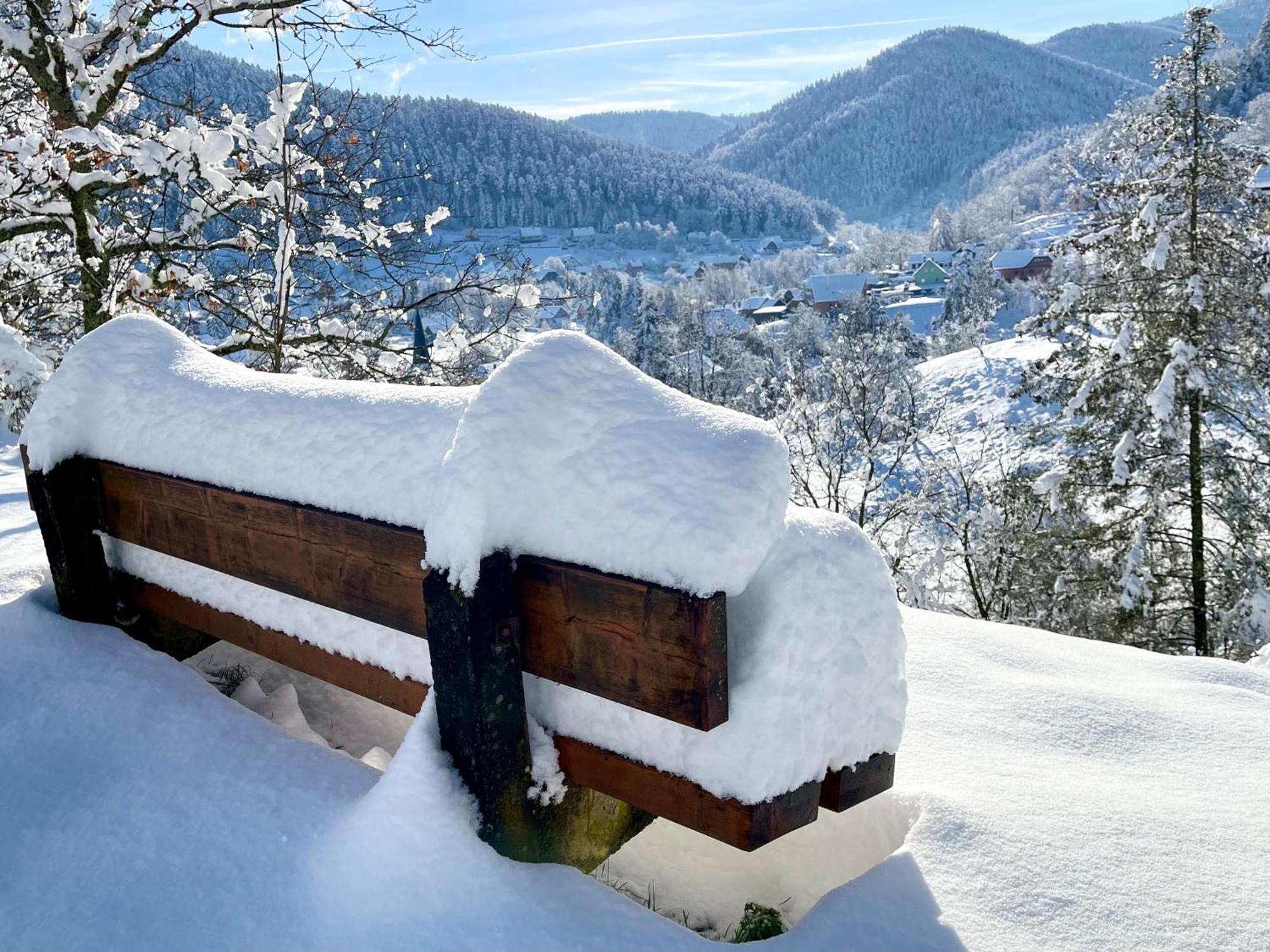 Lo'Gîte L'Allée du Val Lalaye Esterno foto