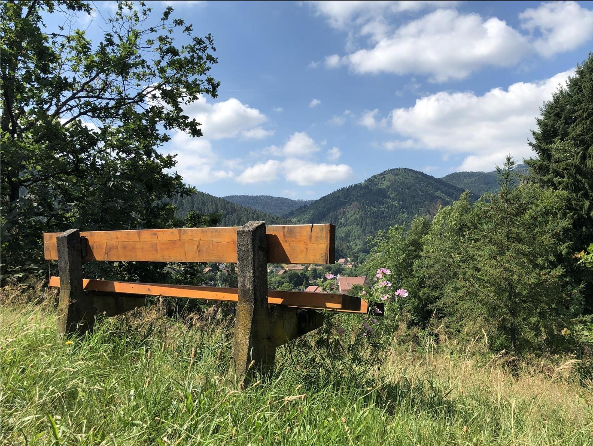 Lo'Gîte L'Allée du Val Lalaye Esterno foto