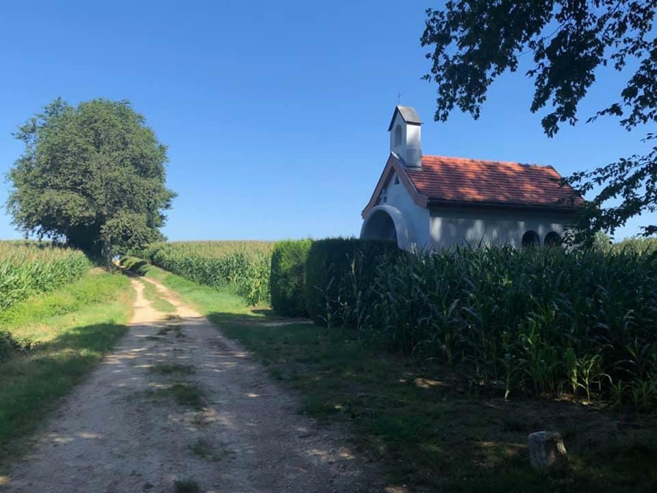 Lo'Gîte L'Allée du Val Lalaye Esterno foto