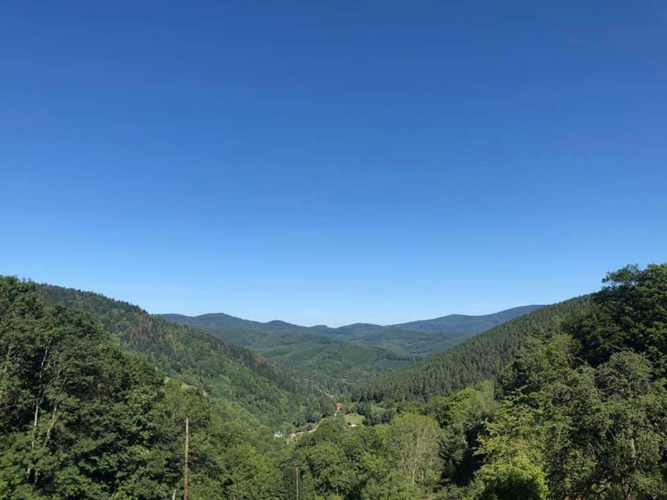 Lo'Gîte L'Allée du Val Lalaye Esterno foto