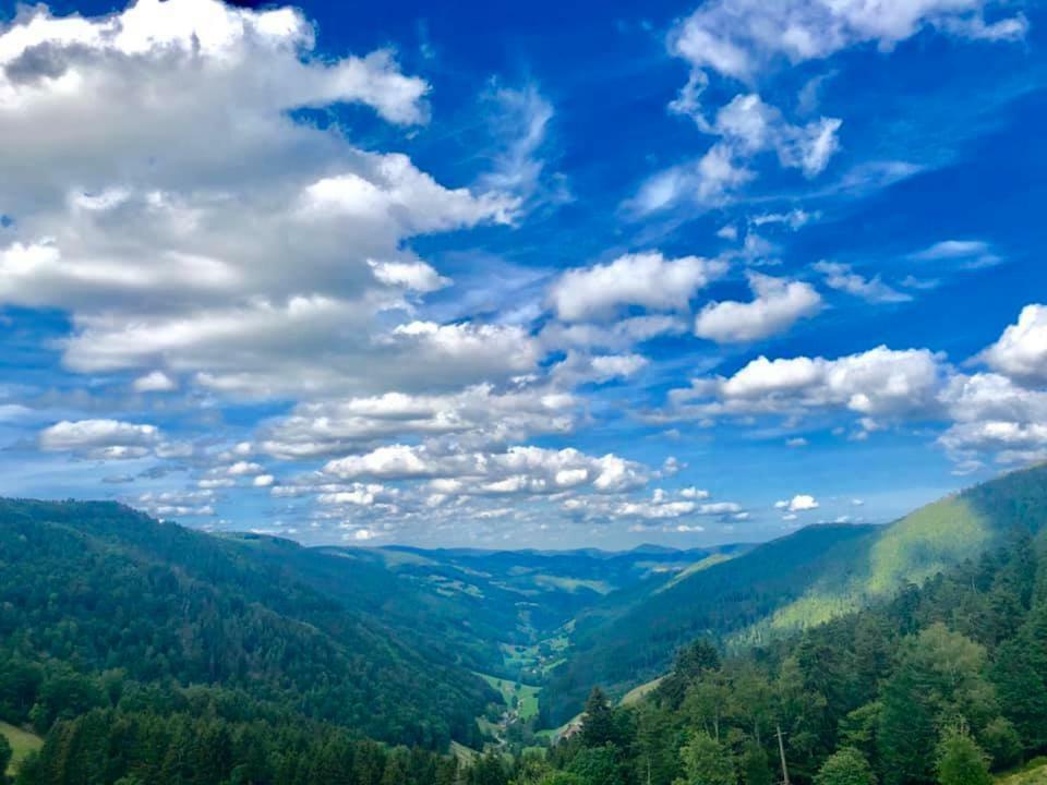 Lo'Gîte L'Allée du Val Lalaye Esterno foto