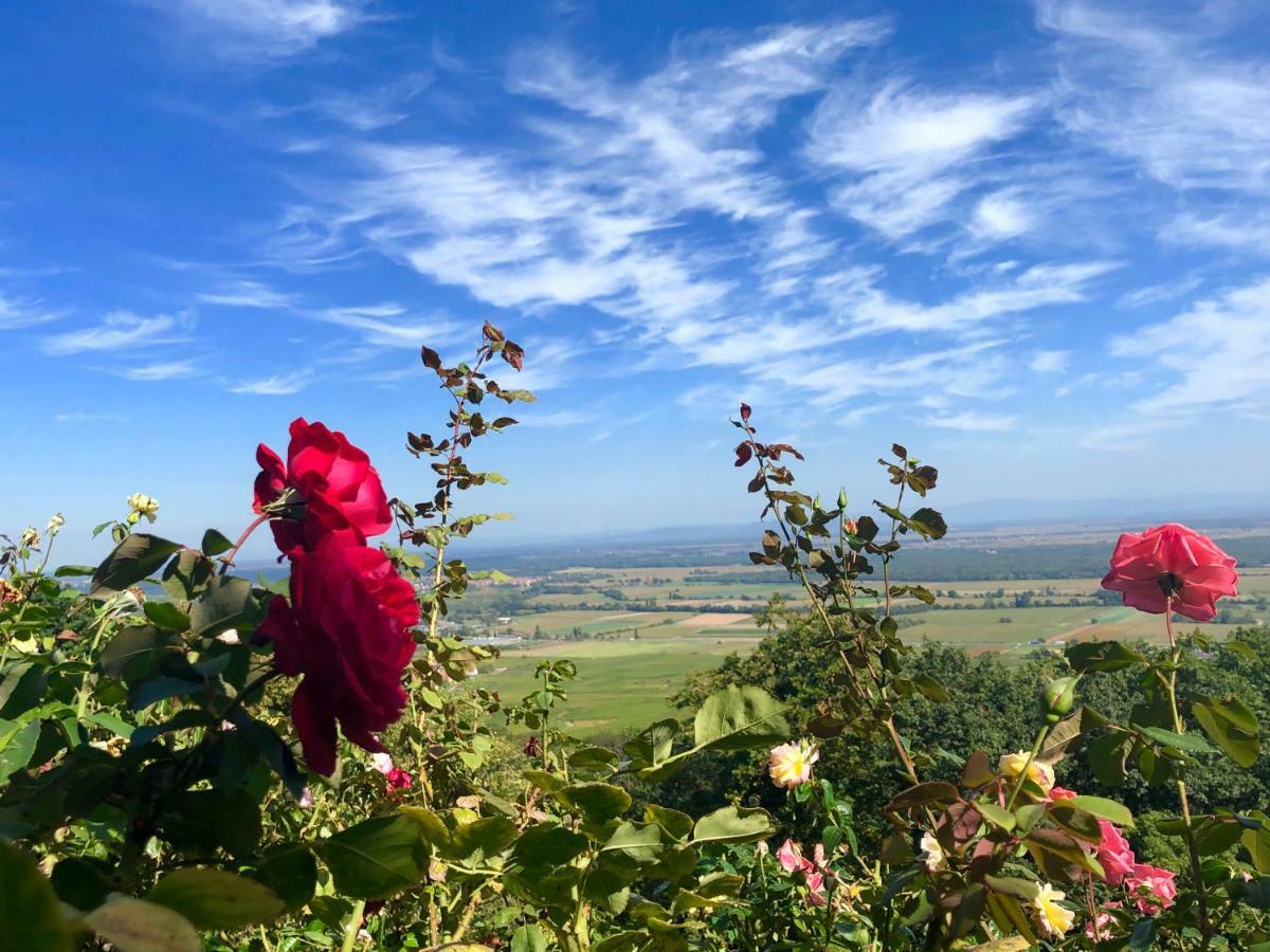 Lo'Gîte L'Allée du Val Lalaye Esterno foto