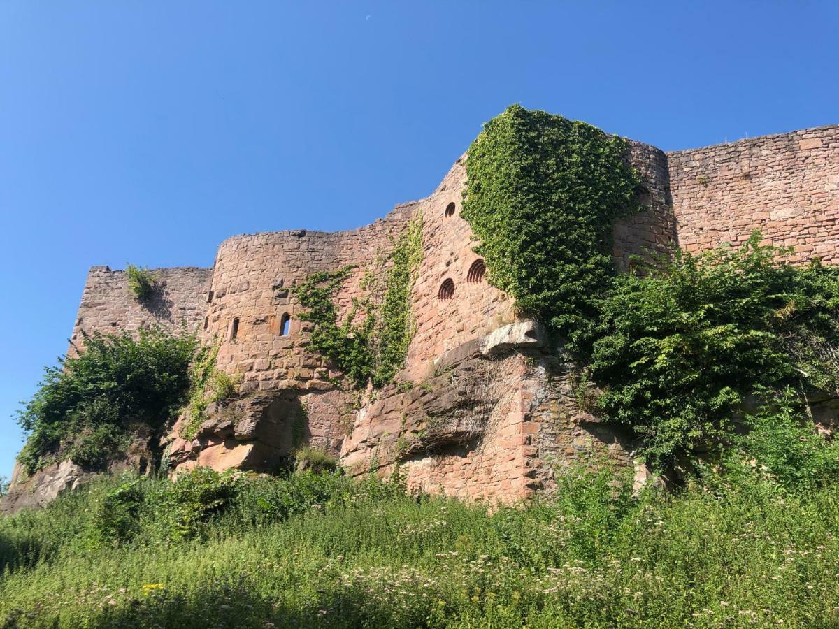 Lo'Gîte L'Allée du Val Lalaye Esterno foto
