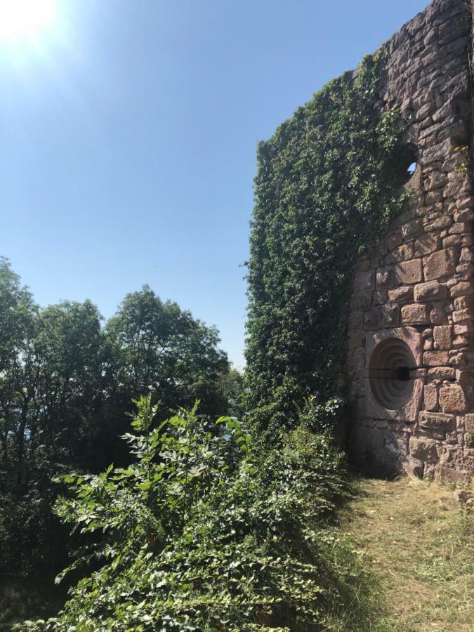 Lo'Gîte L'Allée du Val Lalaye Esterno foto