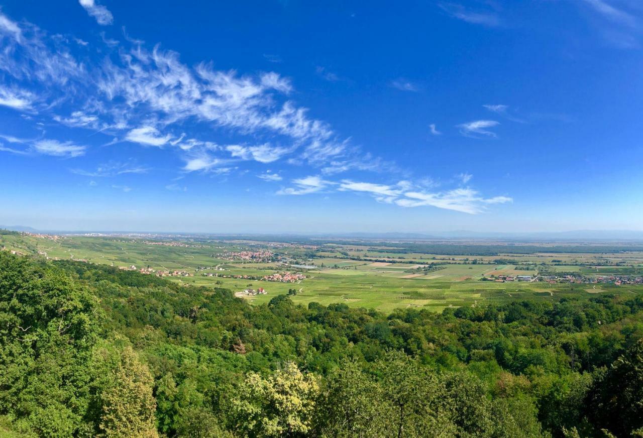 Lo'Gîte L'Allée du Val Lalaye Esterno foto