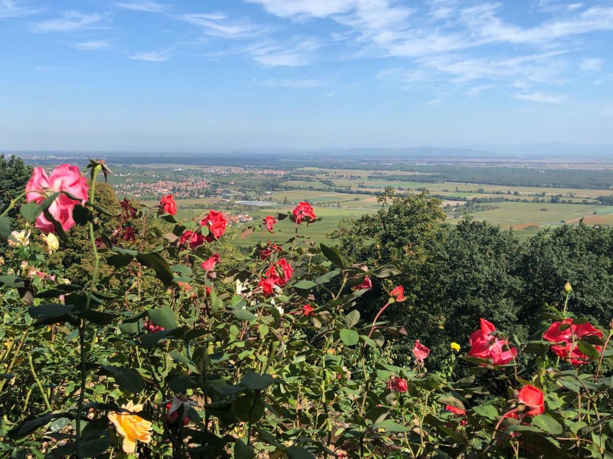 Lo'Gîte L'Allée du Val Lalaye Esterno foto